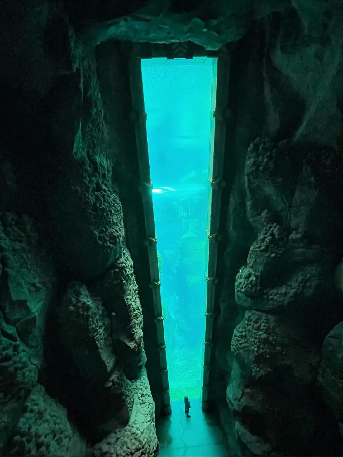 SeaWorld Abu Dhabi