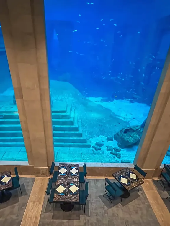 Underwater restaurant of the Edenya aquarium at Pairi Daiza, facing three large acrylic windows